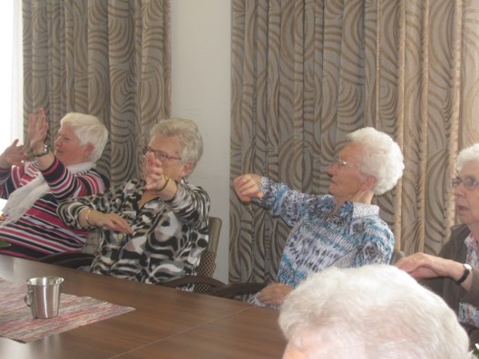 13 mei 2017 Optreden in De Hoge Weide in Strijen.